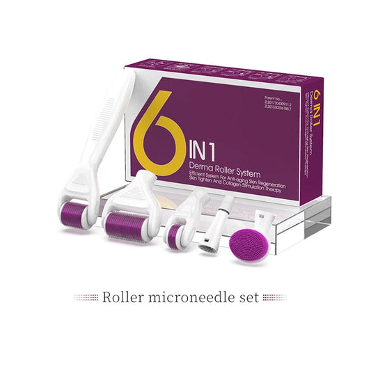 6-in-1 Derma Roller Kit with Interchangeable Heads for Face & Body